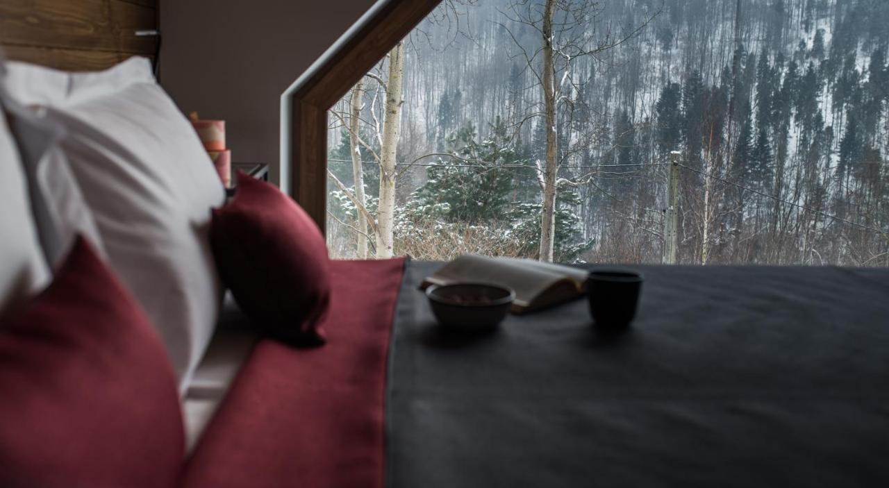 Aspen Deluxe Residence & Aspen Cottage Międzybrodzie Bialskie 外观 照片